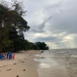 Ilha de Cotijuba