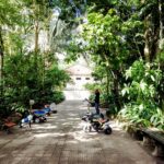 Museu Paraense Emílio Goeldi